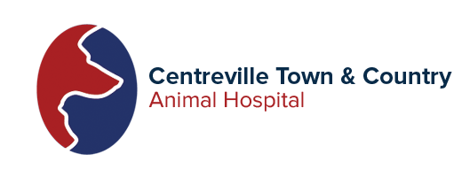 Centreville Town & Country Animal Hospital