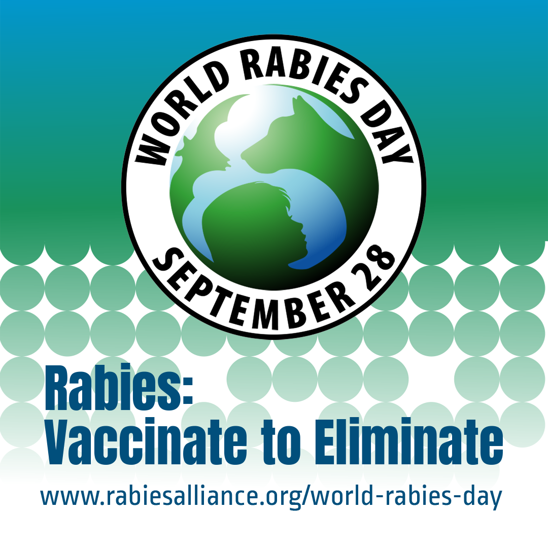 image for World Rabies Day